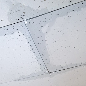 雨漏り修理